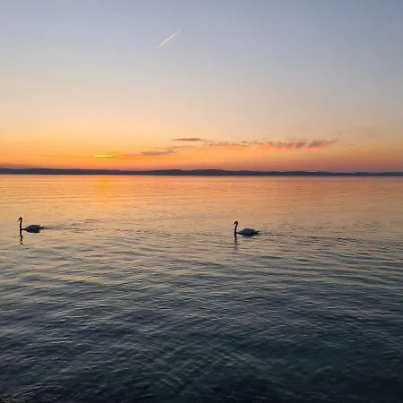 Eda * Siófok